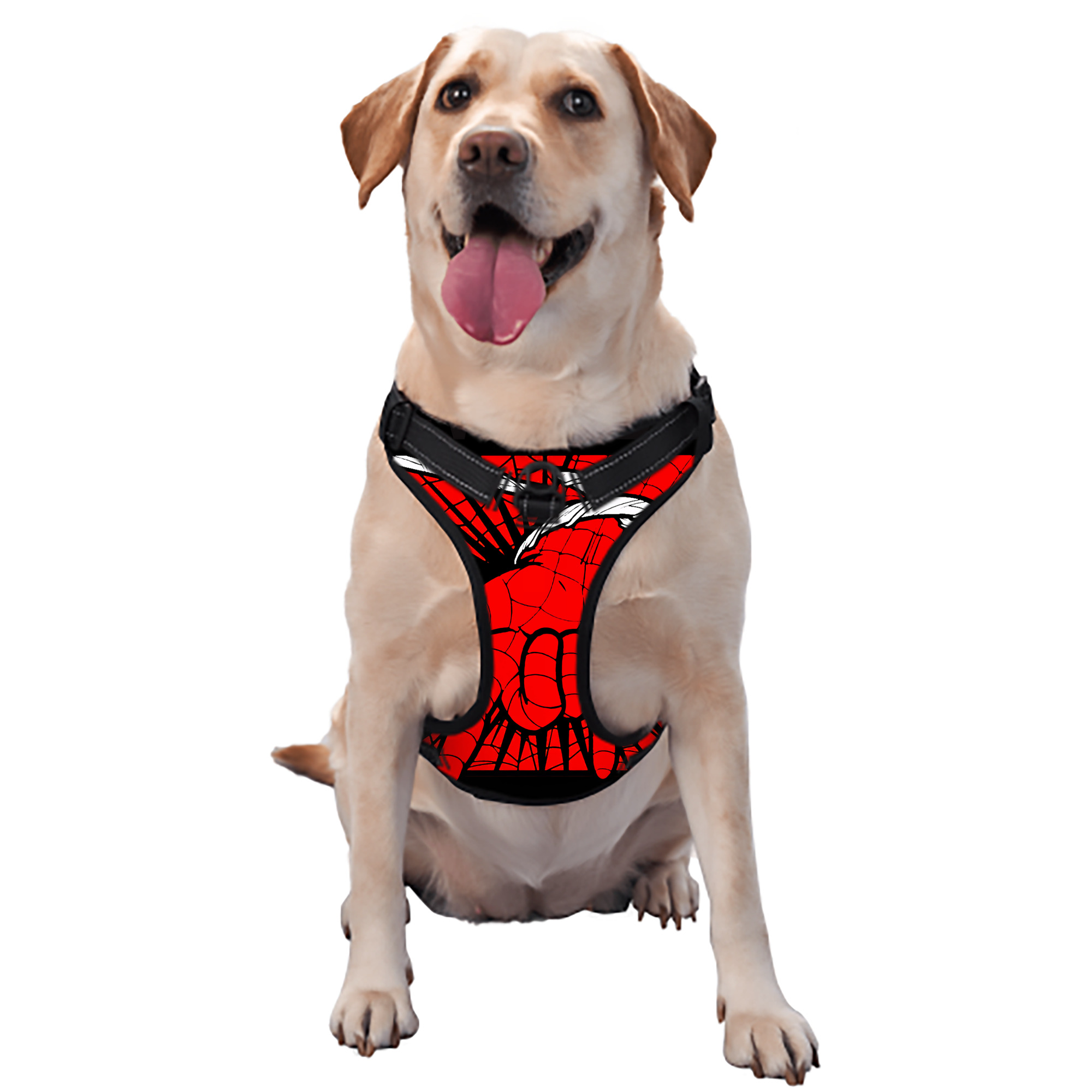 （画像用） Spider Man スパイダーマン ペット用ハーネス